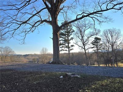 New construction Single-Family house 2417 Mobile Rd, McCaysville, GA 30555 - image