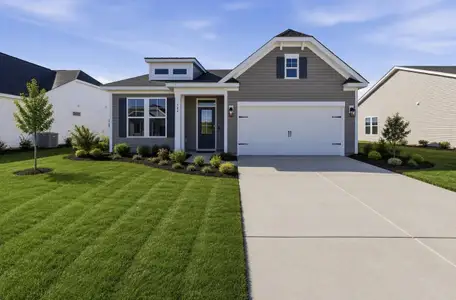 New construction Single-Family house 2570 Egypt St, Sumter, SC 29153 plan Bailey II - image
