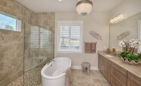 New construction Single-Family house 5244 Needle Nest Dr, Jacksonville, FL 32224 plan Braddock - image 16