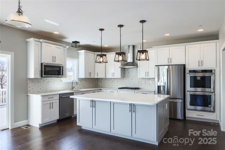 New construction Single-Family house 14 Pinnacle Wy, Unit Hawthorne, York, SC 29745 - image 8