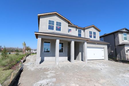 New construction Single-Family house 31205 Denham Ridge Ln, Wesley Chapel, FL 33545 Santa Monica- photo 80 80