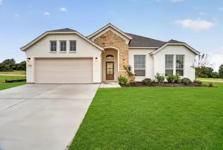New construction Single-Family house 321 Skeen Peak, Springtown, TX 76082 - image