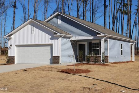 New construction Single-Family house 1345 Pond Overlook Dr, Nashville, NC 27856 - image