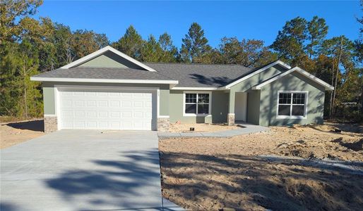 New construction Single-Family house 13 Fisher Lane Track, Ocklawaha, FL 32179 - photo 0