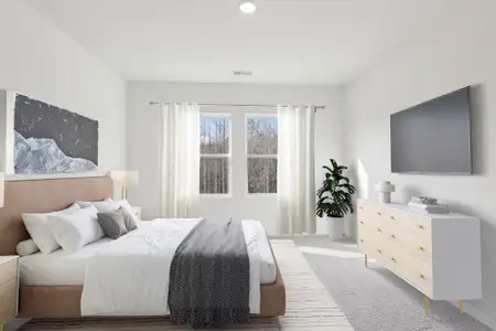 New construction Single-Family house 69 Club Rd, Louisburg, NC 27549 plan Luna - image 9