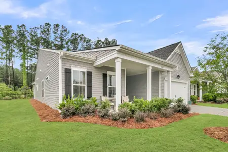 New construction Single-Family house 582 Marsh Cove Cir, Summerville, SC 29486 plan Mont Blanc - image 2