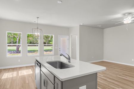 New construction Single-Family house 1943 Deercreek Dr, Manning, SC 29102 plan Lawrence - image 16