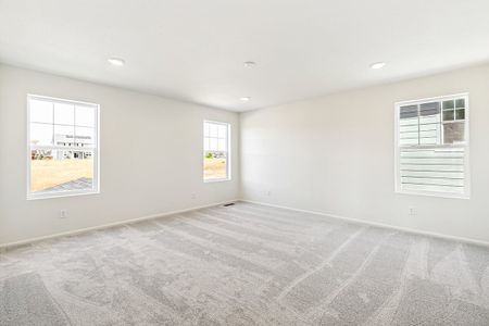 New construction Single-Family house 1871 Water Birch Way, Castle Rock, CO 80108 null- photo 42 42