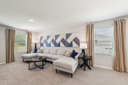 New construction Single-Family house 202 Thistle Patch Pl, Angier, NC 27501 plan Taylorsville - image 9