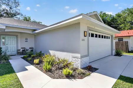 New construction Single-Family house 335 Vincent Dr, Mount Dora, FL 32757 - image
