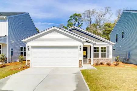 New construction Single-Family house 3667 Stedding Pl, Lexington, SC 29073 plan Brunswick - image