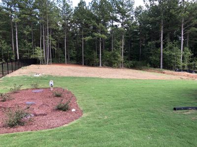 New construction Single-Family house 105 Ironwood Blvd, Youngsville, NC 27596 Cypress- photo 28 28