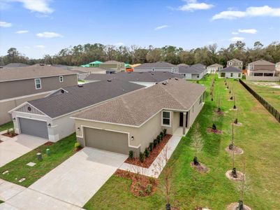 New construction Single-Family house 8626 Caribbean Pine Way, Lakeland, FL 33809 null- photo 19 19