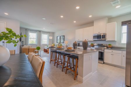 New construction Single-Family house 4914 Prairie Preserve Run, St. Cloud, FL 34772 plan Viola - image 8