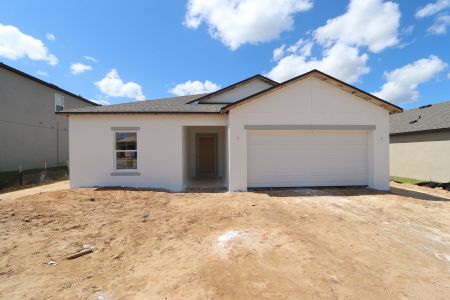 New construction Single-Family house 12193 Hilltop Farms Dr, Dade City, FL 33525 Sentinel- photo 21 21