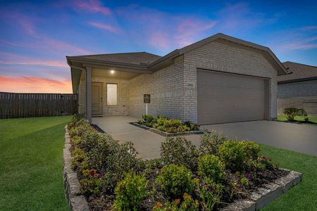 New construction Single-Family house 21612 Casavatore Dr, New Caney, TX 77357 plan Chestnut II - image