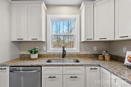 New construction Single-Family house 746 Whites Farm Rd, Statesville, NC 28625 null- photo 10 10