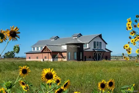 New construction Duplex house 1671 Marketplace Aly, Brighton, CO 80601 - image