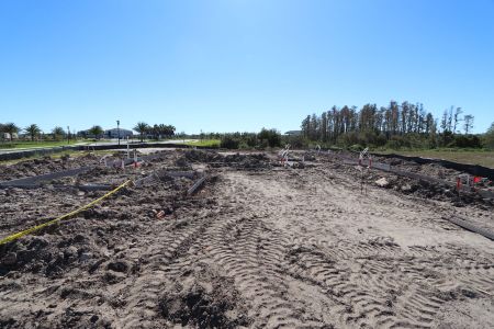 New construction Single-Family house 31119 Hayman Loop, Wesley Chapel, FL 33545 Corina  III- photo 2 2