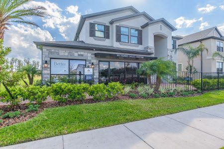 New construction Single-Family house 10805 Rolling Moss Rd, Tampa, FL 33647 Sonoma II- photo 3 3