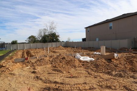 New construction Single-Family house 12252 Hilltop Farms Dr, Dade City, FL 33525 Cabo- photo 5 5