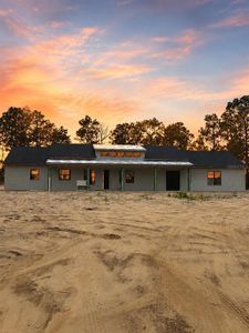 New construction Single-Family house 3890 Se 139 Ter, Morriston, FL 32668 - image