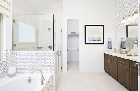 New construction Single-Family house 123 Constitution Wy, Kyle, TX 78640 plan Premier Series - Palm - image 17