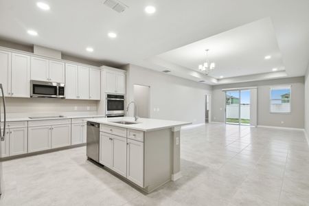 New construction Single-Family house 3064 Fall Harvest Dr, Zephyrhills, FL 33540 Picasso- photo 214 214