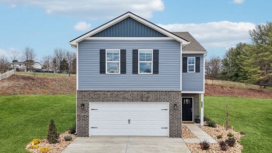 New construction Single-Family house 313 Alta Tree Blvd, Johnson City, TN 37604 plan Elston - image