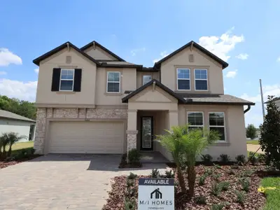 New construction Single-Family house 38462 Tobiano Lp, Dade City, FL 33525 plan Casanova - image