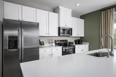 New construction Townhouse house 31399 Spanish Mission Rd, San Antonio, FL 33576 - image 8