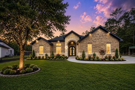 New construction Single-Family house 30 Rd 66111, Dayton, TX 77535 - image