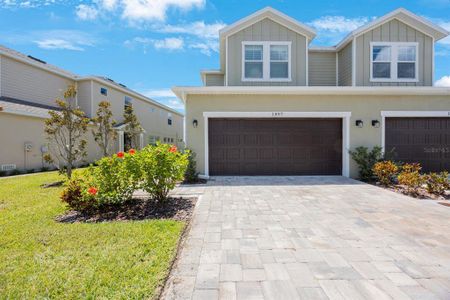New construction Townhouse house 1897 Trailside Dr, Palm Harbor, FL 34683 null- photo 0