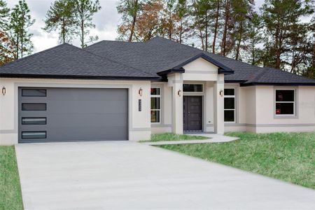 New construction Single-Family house 4368 Sw 179Th Pl, Ocala, FL 34473 - image
