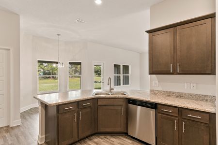 New construction Single-Family house 14152 Spring Hill Dr, Spring Hill, FL 34609 null- photo 30 30