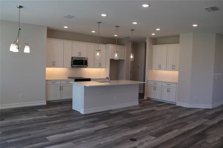 New construction Single-Family house 1032 E Allegrie Dr, Inverness, FL 34453 null- photo 16 16