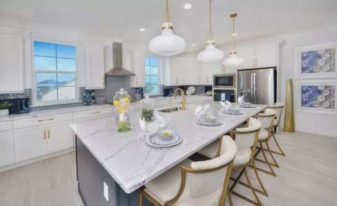 Verona Oceanside by ICI Homes in Ormond Beach - image 16