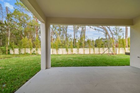 New construction Single-Family house 20219 Oriana Loop, Land O' Lakes, FL 34638 Corina  III- photo 156 156