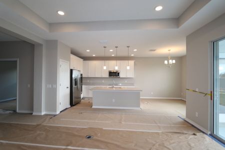 New construction Single-Family house 3150 Adams Cross Dr, Zephyrhills, FL 33540 Miranda- photo 104 104