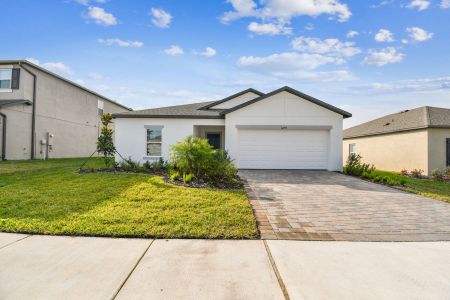 New construction Single-Family house 12193 Hilltop Farms Dr, Dade City, FL 33525 Sentinel- photo 137 137