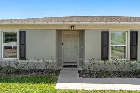 New construction Single-Family house 153 Bird Of Paradise Dr, Palm Coast, FL 32137 - image