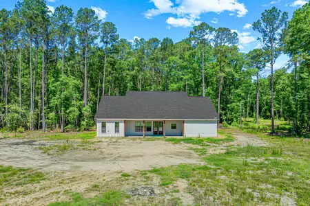 New construction Single-Family house 278 Happy Haven Ln, Walterboro, SC 29488 - image