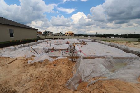 New construction Single-Family house 12219 Hilltop Farms Dr, Dade City, FL 33525 Malibu- photo 7 7