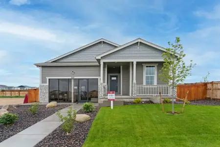 New construction Single-Family house 857 Forest Canyon Rd, Severance, CO 80550 plan Bluebell - image