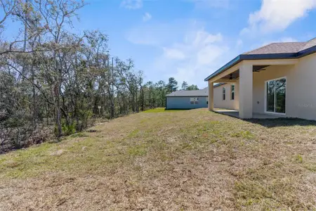 New construction Single-Family house 34 Lupine St, Homosassa, FL 34446 - image