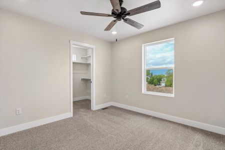 New construction Single-Family house 3047 Curly Grove, Colorado Springs, CO 80922 plan Primrose - image 19
