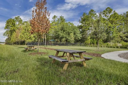 New construction Single-Family house 3542 Cedar Preserve Ln, Middleburg, FL 32068 Highgate- photo 25 25