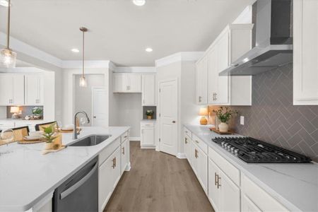 New construction Single-Family house 8620 Standing Stone, Ball Ground, GA 30107 plan The Elizabeth - image 16