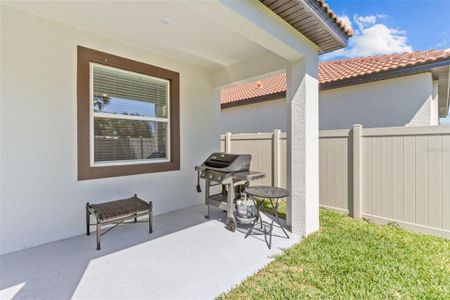 New construction Single-Family house 17418 Holly Well Ave, Wimauma, FL 33598 Sunburst II- photo 31 31