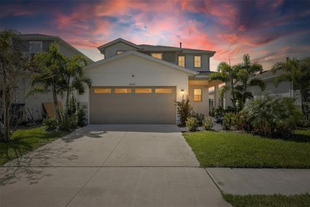 New construction Single-Family house 6255 Golden Beach Dr, Apollo Beach, FL 33572 - image